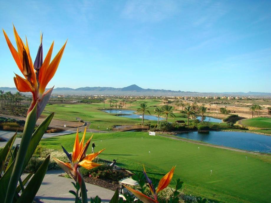 Sonne - Golf - 4pers - Komfort - *